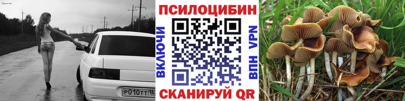 Псилоцибиновые грибы мицелий  сайты даркнета Telegram  Сусуман  mega сайт 